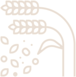 Agriculture icons to illustrate seed variety magnified with a digital microscope