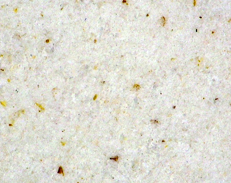 Sample of flour magnified with a digital microscope