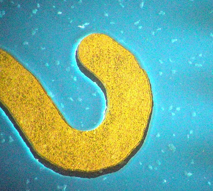 Magnified PCB with a digital microscope