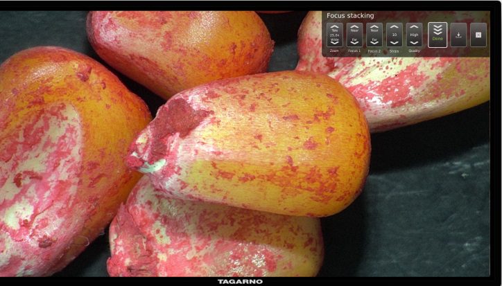 TAGARNO Focus stacking app on monitor with seeds