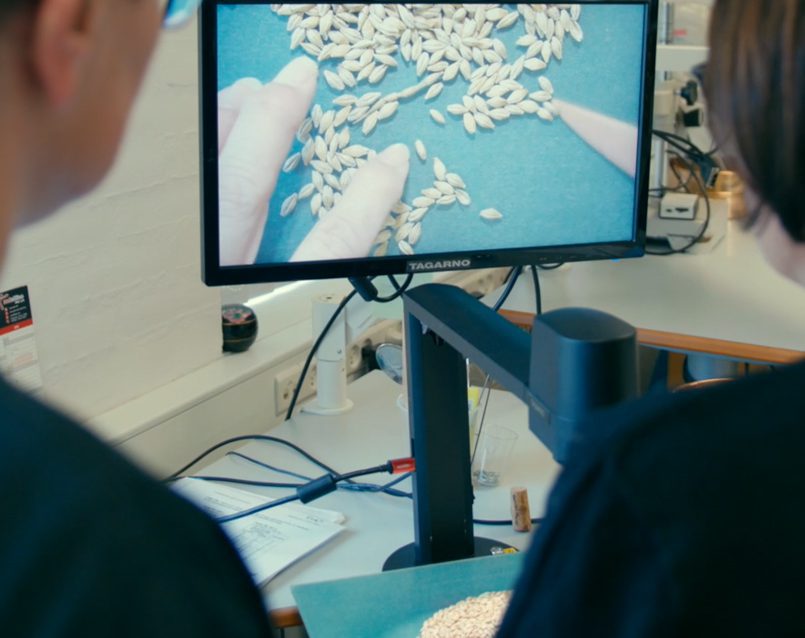 Using a TAGARNO digital microscope for seed testing