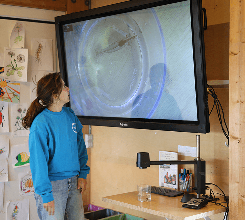 Woman standing in front of big screen with magnified sample from digital microscope