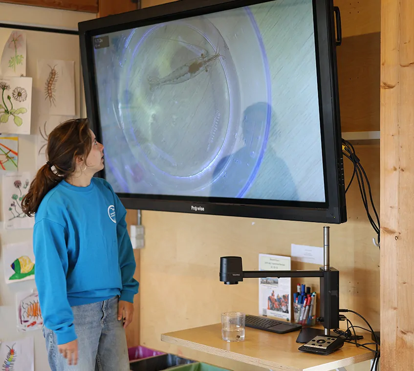 Woman standing in front of big screen with magnified sample from digital microscope