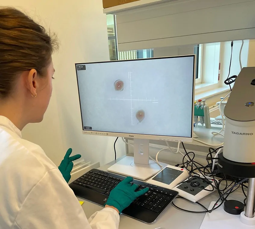 Woman is sitting at digital microscope while doing morphological measurements